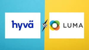 Blog 10 hyva vs luma
